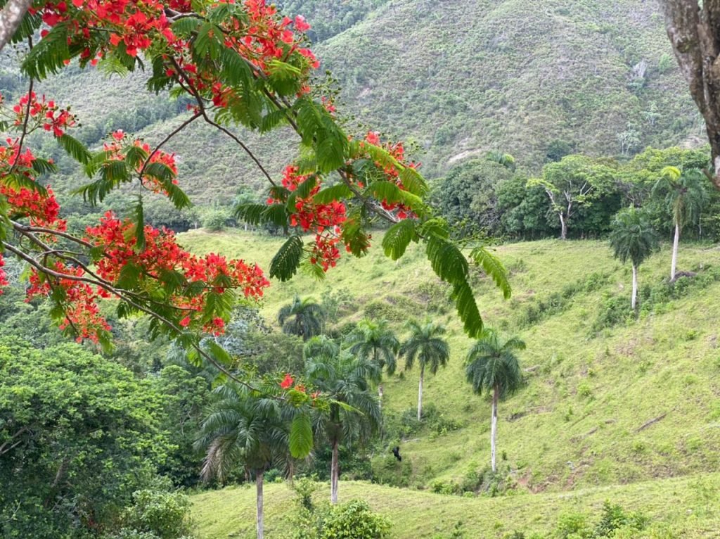 Fincas en venta Republica Dominicana Yamasa, municipio de Guerra y Villa Tapia